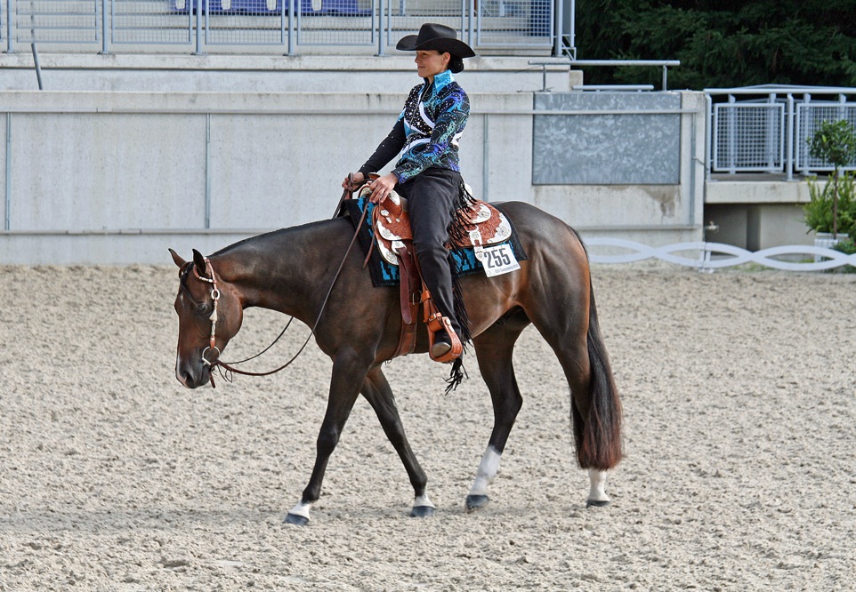 Westerntraining